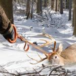 Hunthor Deer Drag Rope with Wider Handle