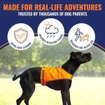 Blaze Orange Reflective Dog Vest for Hunting