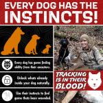 DogBone Tracking System for Deer Hunting Dogs