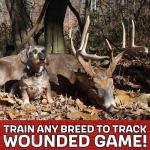 DogBone Tracking System for Deer Hunting Dogs