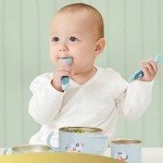 Toddler Utensil Set with Travel Case – 4 Colors