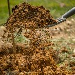 Ergonomic Carbon Steel Digging Fork by Radius Garden