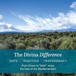 Divina 13 oz Muffuletta Olive Salad