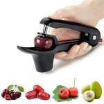 Cherry and Olive Pitter Tool for Kitchen Use