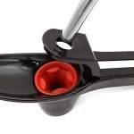 Cherry and Olive Pitter Tool for Kitchen Use