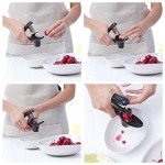 Cherry and Olive Pitter Tool for Kitchen Use