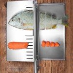 Manual Stainless Steel Meat and Bone Slicer