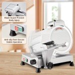 Electric Meat Slicer with Adjustable Thickness, 10" Blade