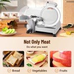 Electric Meat Slicer with Adjustable Thickness, 10" Blade