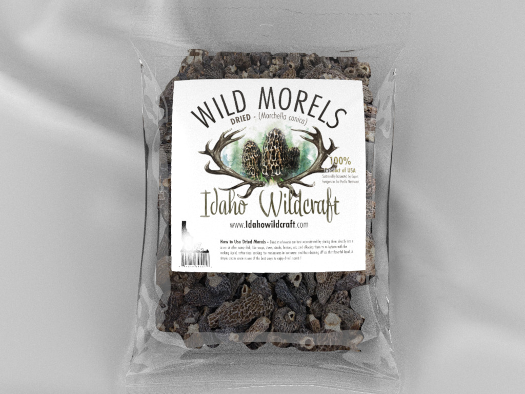 Morels Mushrooms