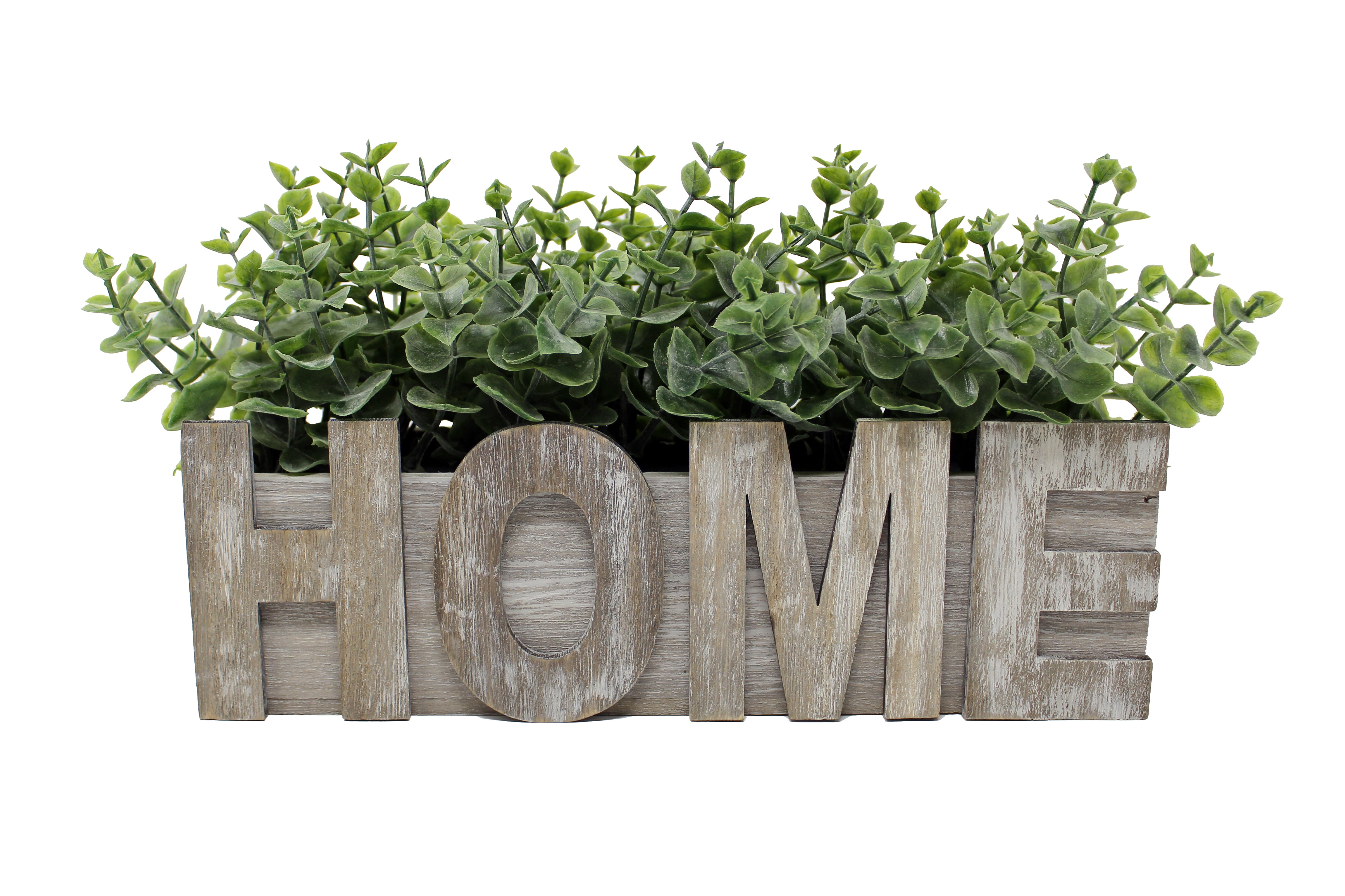 Eucalyptus Plant with Wood Box - Grey