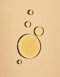 OSEA Undaria Algae Body Oil for Dry Skin