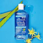 T.N. Dickinson's Alcohol-Free Witch Hazel Astringent