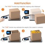 Heavy Duty 440 LB Postal Scale for Packages