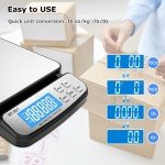 110 LB Digital Postal Scale with AC Adapter
