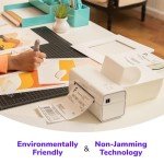 Rollo Thermal Labels - 500 Pack, 4x6 Size