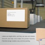 BETCKEY Compatible DYMO 4" x 6" Labels - 10 Rolls