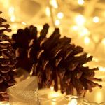 100 Mini Clear Christmas String Lights - 21ft