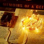 16.4ft Battery Operated Warm White String Lights