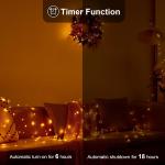 16.4ft Battery Operated Warm White String Lights