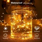 16.4ft Battery Operated Warm White String Lights