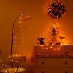 16.4ft Battery Operated Warm White String Lights