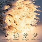 Clear Christmas Mini String Lights - 100 Count