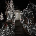 LED Fairy String Lights for Parties and Decor