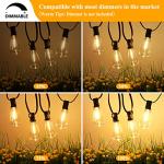 100FT LED Outdoor String Lights with Vintage Bulbs