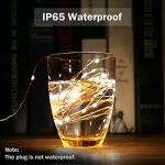 33ft 100 LED Warm White Fairy String Lights