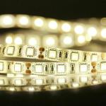 Warm White Dimmable LED Strip Light 5M