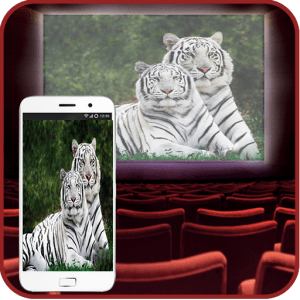 Mobile HD Video Projector for Parties