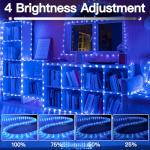 50ft Blue LED Rope Lights with Remote Control