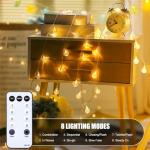 Minetom 100 LED Globe String Lights with Remote