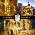 33ft Battery Operated LED Fairy Lights with Remote