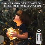 33ft Battery Operated LED Fairy Lights with Remote