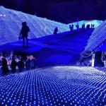 200 LED Fairy String Lights for Parties & Events