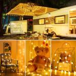 21FT Battery Operated LED Globe String Lights