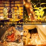 Battery Operated 6 Pack Mini Fairy String Lights