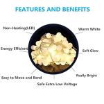 49ft 100 LED Globe String Lights - 8 Modes