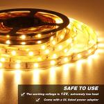 Dimmable 16.4ft Warm LED Strip Lights