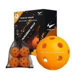 Warping Point Set of 4 Indoor Pickleball Balls