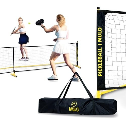 Pickleball Net for Backyard Fun