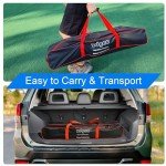 Portable Pickleball Set with 4 Balls & Net