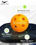Warping Point Set of 4 Indoor Pickleball Balls