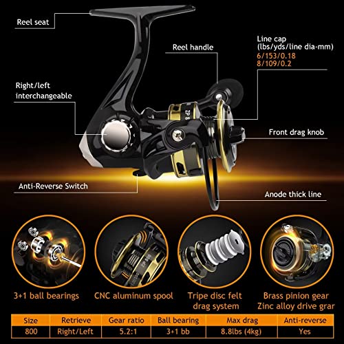 Dovesun Ice Fishing Spinning Combo - UL Power