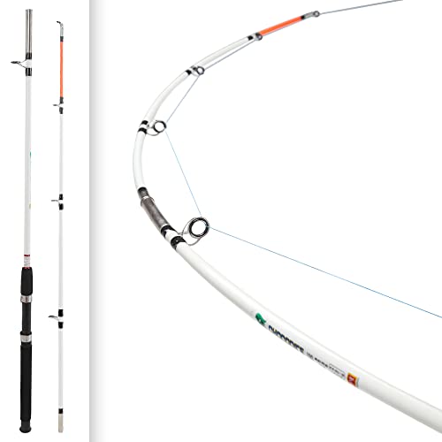 Berkley 8ft Surf Rod, 12-30lb Line, Medium Heavy