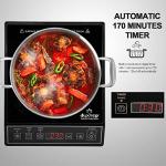 Duxtop 1800W Portable Induction Cooktop Burner