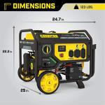 Dual Fuel 4750-Watt Portable Generator with Electric Start