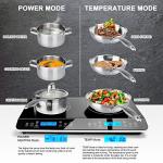 Duxtop 1800W Double Induction Cooktop Burner